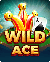Wild Ace — JILI slots game on the IN7 game app